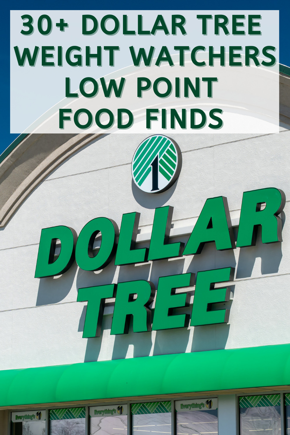 30+ Dollar Tree Low Point Food Finds for Weight Watchers